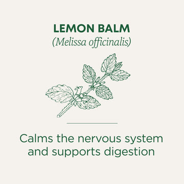 Herb Tea, 95% organic, Lemon Balm , 16 bag (pack of 6 ) ( Value Bulk Multi-pack)