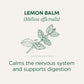 Traditional Medicinals Tea, Organic Lemon Balm, Calms Nerves & Supports Digestion, 16 Tea Bags