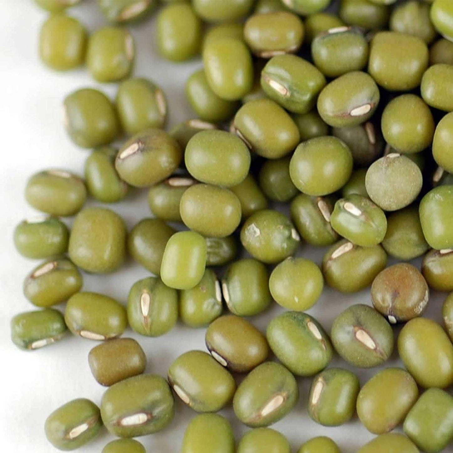 Mung Bean Sprouting Seed: 2.5 Lb - Organic, Non-GMO - Handy Pantry Brand - Dried Moong Beans for Sprouts, Garden Planting, Chine