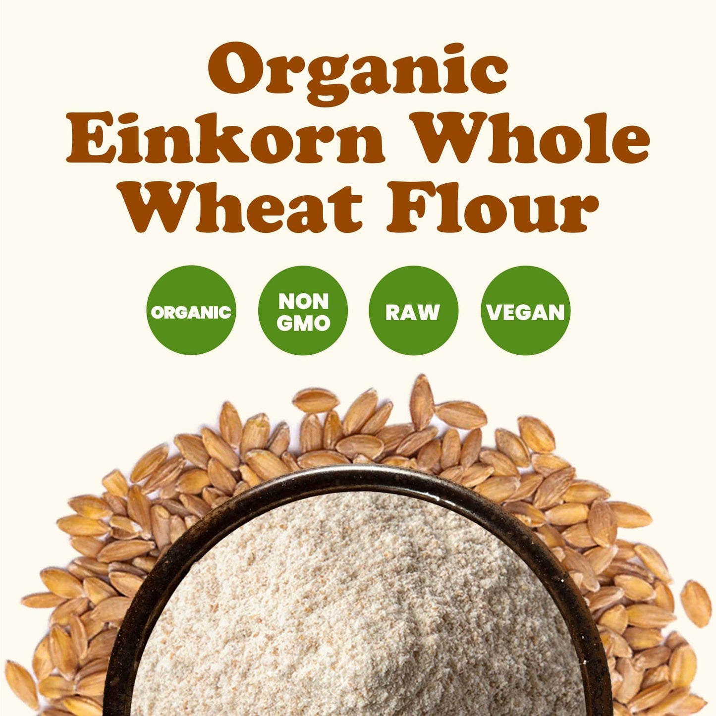 Food to Live - Organic Einkorn Whole Wheat Flour, 16 Pounds - Finely Milled Non-GMO Ancient Whole Grain Farro Piccolo. Great for