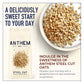 Anthem Steel Cut Oats - Instant Oatmeal, 30oz, Packed with Fiber for Lasting Energy