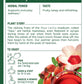 Traditional Medicinals Organic Rose Hips & Hibiscus Herbal Tea, 48 Tea Bags, Supports Everyday Wellness, Pack of 3