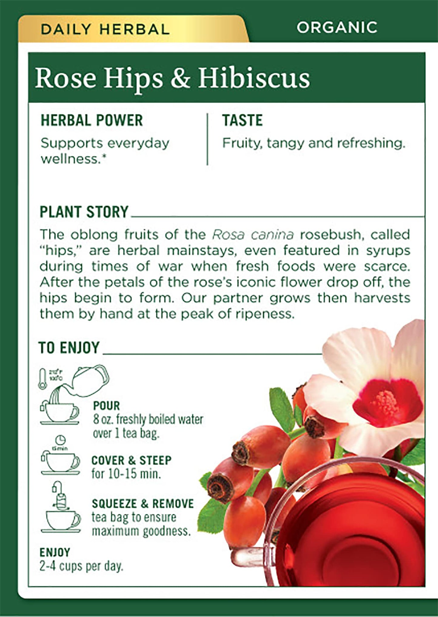 Traditional Medicinals Organic Rose Hips & Hibiscus Herbal Tea, 48 Tea Bags, Supports Everyday Wellness, Pack of 3