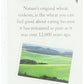 Jovial - Cookie - Organic - Einkorn - Crispy Cocoa - 88 Oz - Case Of 12(D0102H5Ks06)