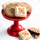 Get Well Soon Cookies Care Package Gift Basket Chocolate Chip Fudge Filled Decorated For Men Women Kids | Individually Wrapped |