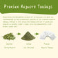 Jarteela Mugwort Tea Bags - Natural Herbal Tea for Digestion, Caffeine-Free, Non-GMO, 50 Count