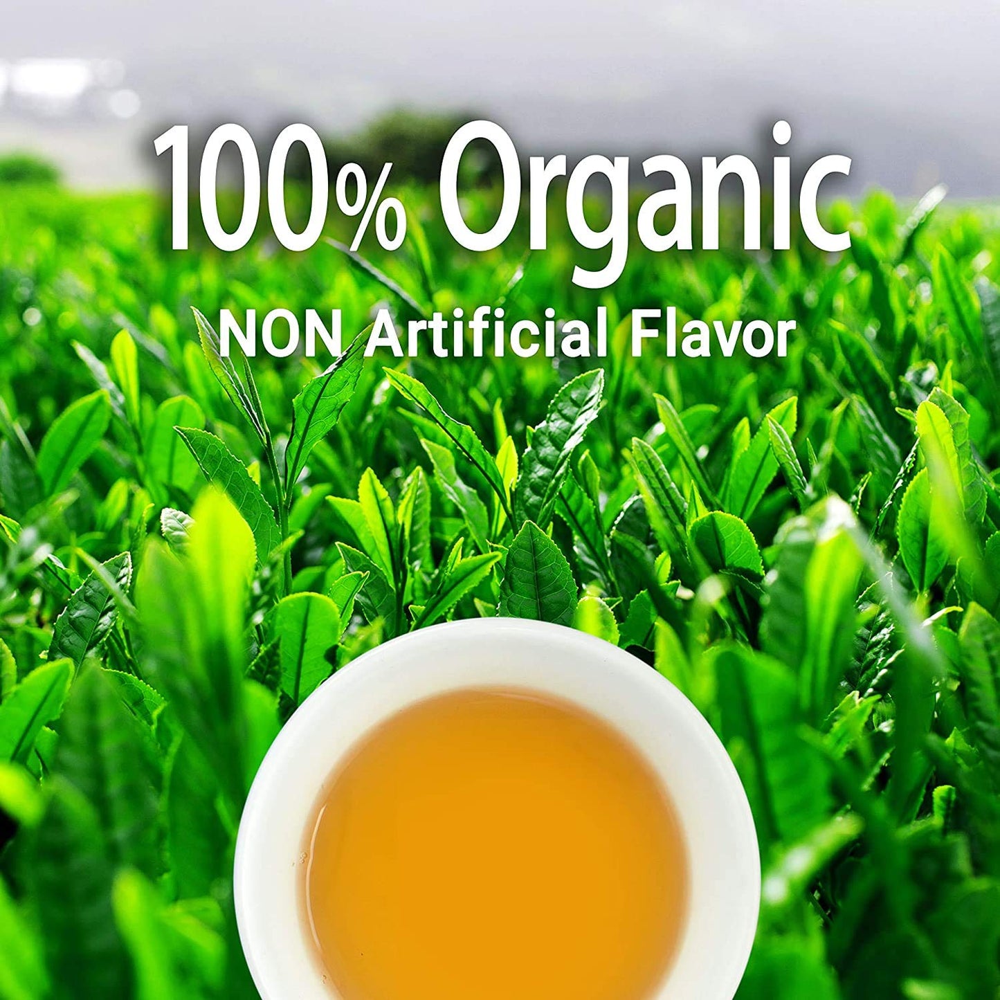 Organic Oolong tea loose leaf tea,100% authentic made in Japan, (100g)?YAMASAN?