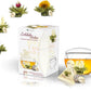 Creano Tea Gift Set Blooming Tea in Cup Size - 8 pcs Flowering White Tea with Glass Tea Cup - 7oz (200ml)