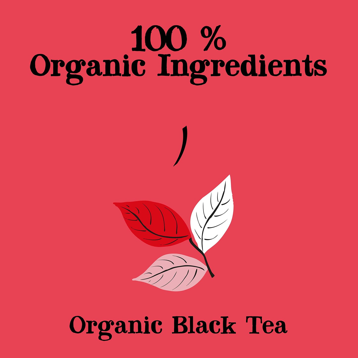 clipper Tea, English Breakfast Assam Blend, Fairtrade, Organic, Plant-Based, caffeinated, 1 Pack, 80 Unbleached Tea Bags