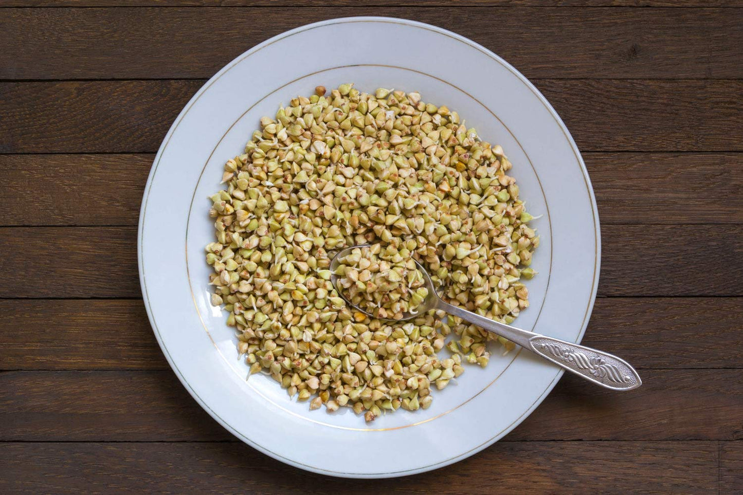 Food to Live Buckwheat Groats, 1 Pound - Hulled Whole Grains, Raw, Kosher, Vegan, Sirtfood, Bulk, Good Source of Dietary Fiber,