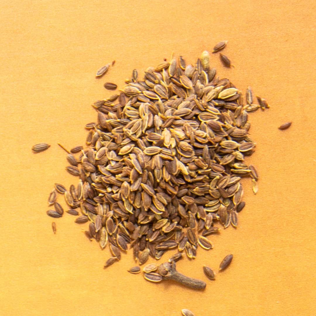 Rumi Spice - Whole Seed Cumin (2.2 Oz) | Wild Harvested Cumin | Robust, Earthy, Piney Flavor | Ethically Sourced