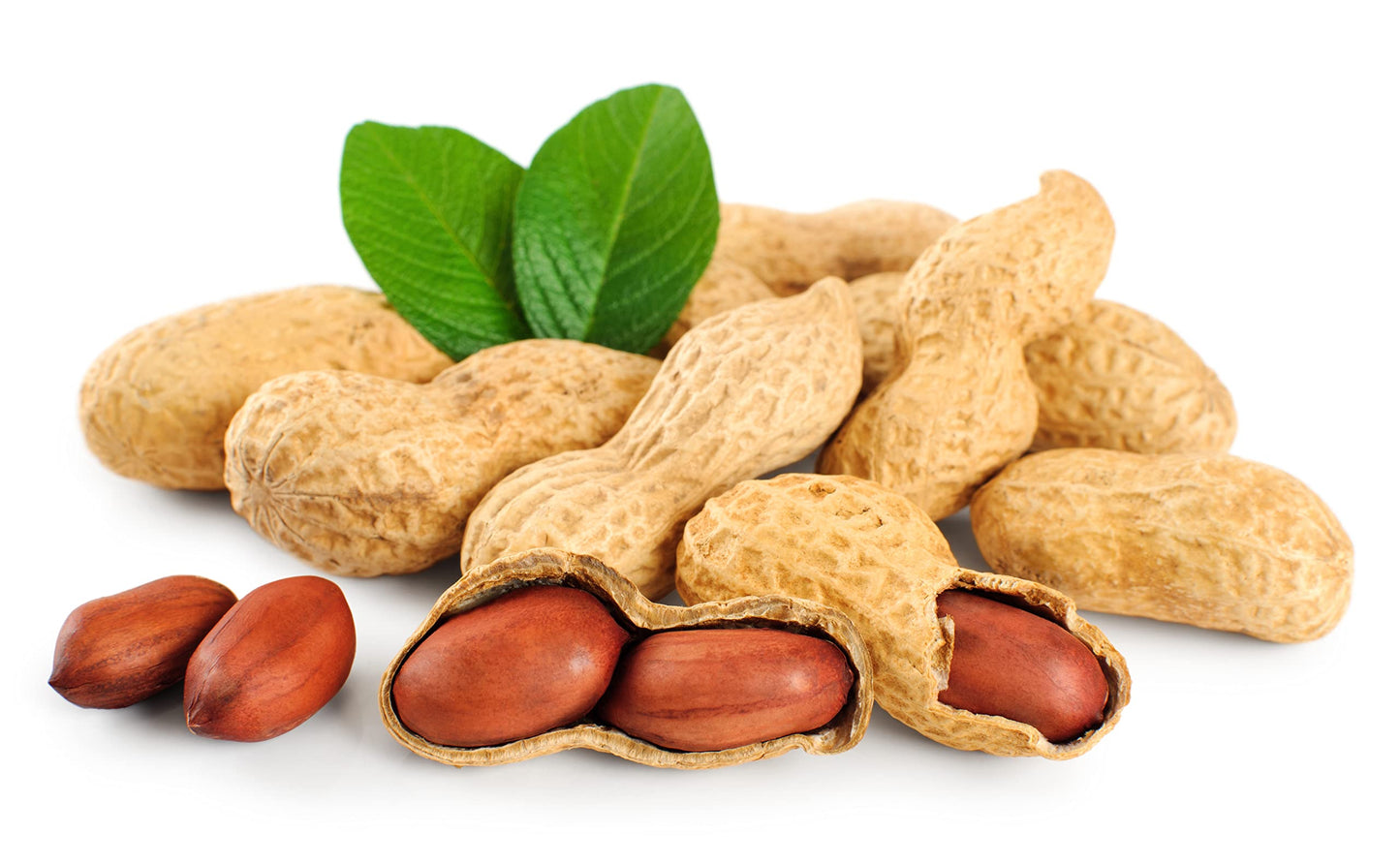Fruidles Raw Peanuts,2 Pound Bag Raw Peanuts In Shell, Great For Boiling, Squirrels Feed, Birds Feed And Wildlife,