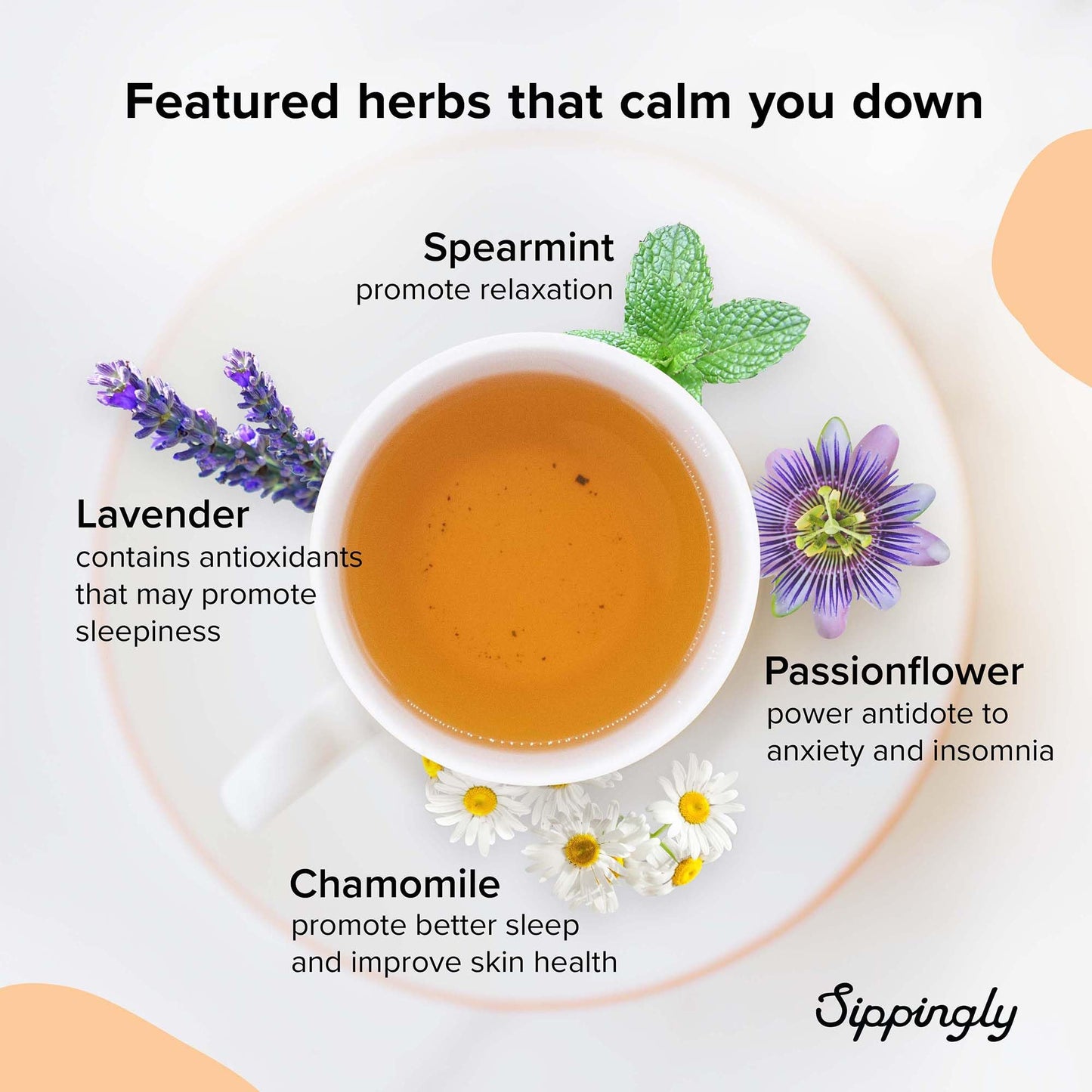 Sippingly Night Time Tea Sampler – 40 Herbal Teas, 10 Flavors, Relaxation Support, 50 Piece Set, Kosher, Gluten-Free