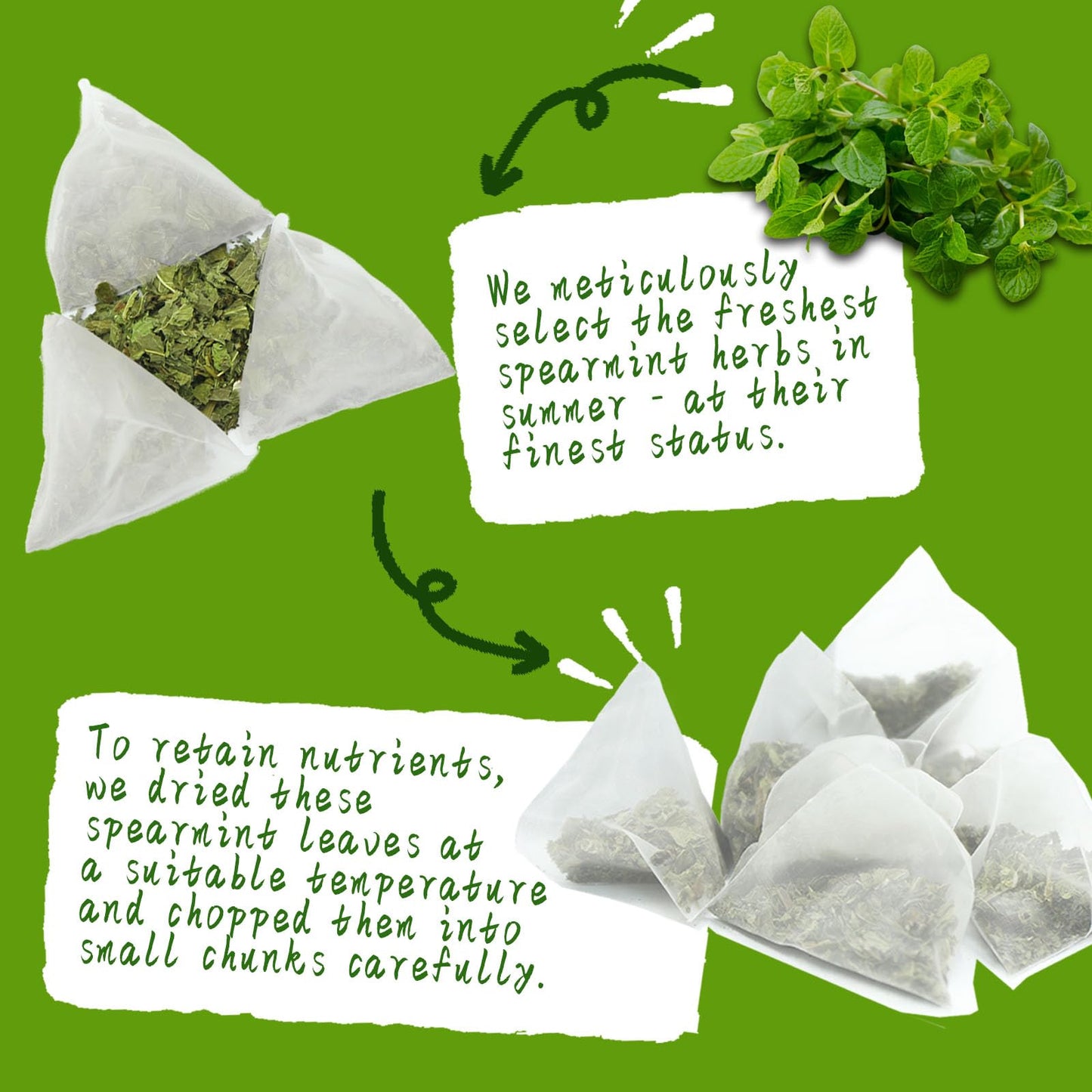 Jarteela Spearmint Tea Bags - 1.5g x 60 Count - Pure Herbal, Non-GMO, Caffeine-Free