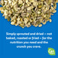 Go Raw Mixed Seeds, Pumpkin, Sunflower & Watermelon Seeds with Sea Salt, Bag Keto Vegan Gluten Free Snacks Organic, Mixed Salted