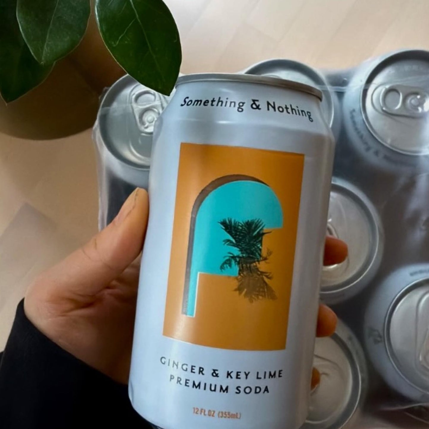 Something & Nothing Ginger & Lime Flavoured Sparkling Water | Lightly Carbonated  Full Flavoured with Added G & Lemon Juice | Vegan & Low Calorie Soda | 12 Fl Oz Cans (Pack of 12)