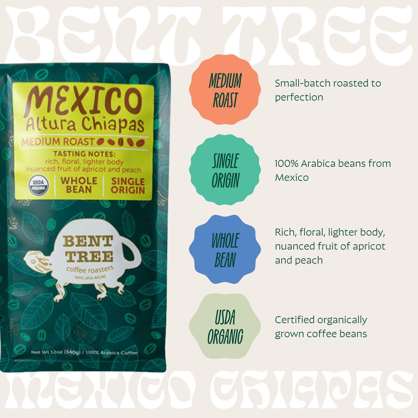 Bent Tree Coffee Roasters Organic Whole Bean Coffee, Medium Roast, Floral Notes, 12oz, USDA Organic, Mexico Altura Chiapas