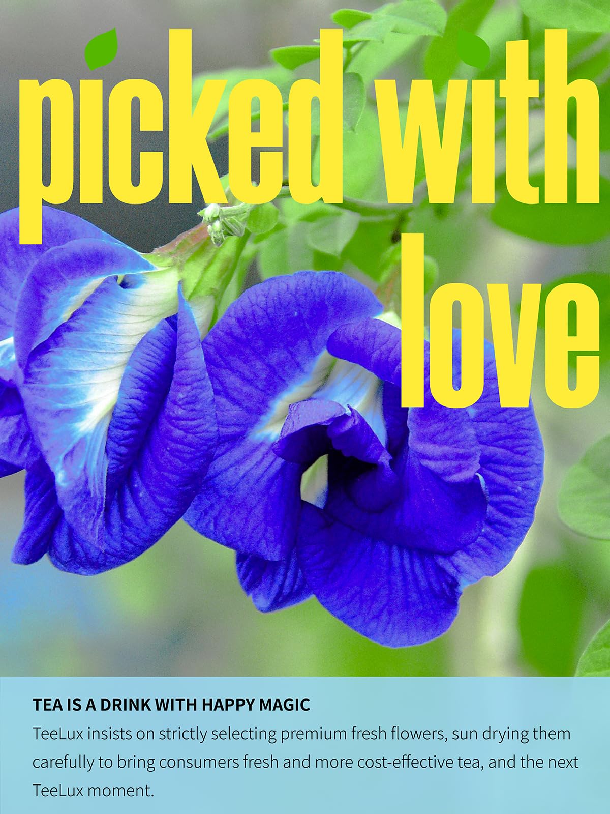 TeeLux Butterfly Pea Flower Powder - Natural Tea for Blue & Purple Drinks - 7oz/200g