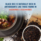 Lundberg Black Pearl Rice, Regenerative Organic Certified - Full-Bodied Black Rice, Responsibly Grown In California, 16 Oz