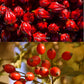 TeeLux Rosehip & Hibiscus Tea Bags, Caffeine Free, Slightly Tart & Fruity, 60 Count