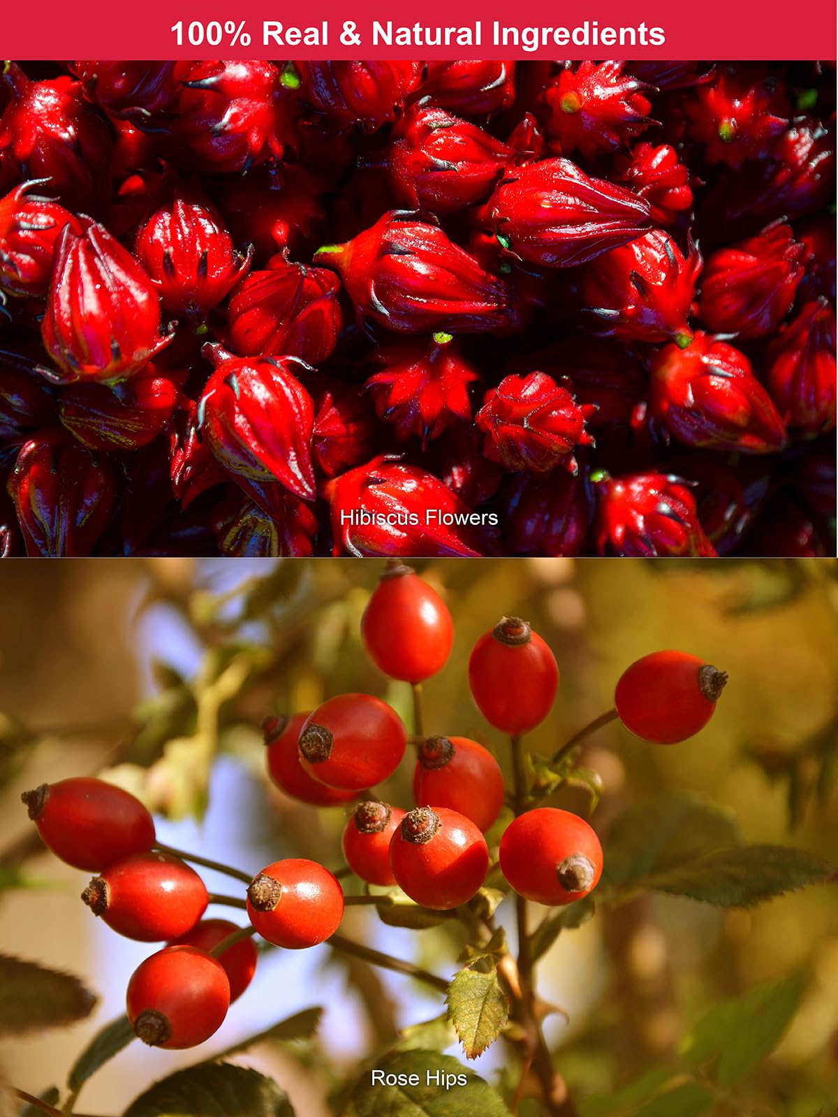 TeeLux Rosehip & Hibiscus Tea Bags, Caffeine Free, Slightly Tart & Fruity, 60 Count