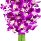 KaBloom Flowers - Mother's Day Collection - 10 Purple Orchid without vase, Gift for Birthday, Sympathy, Anniversary, Get Well, T
