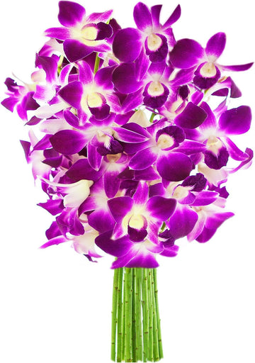 KaBloom Flowers - Mother's Day Collection - 10 Purple Orchid without vase, Gift for Birthday, Sympathy, Anniversary, Get Well, T