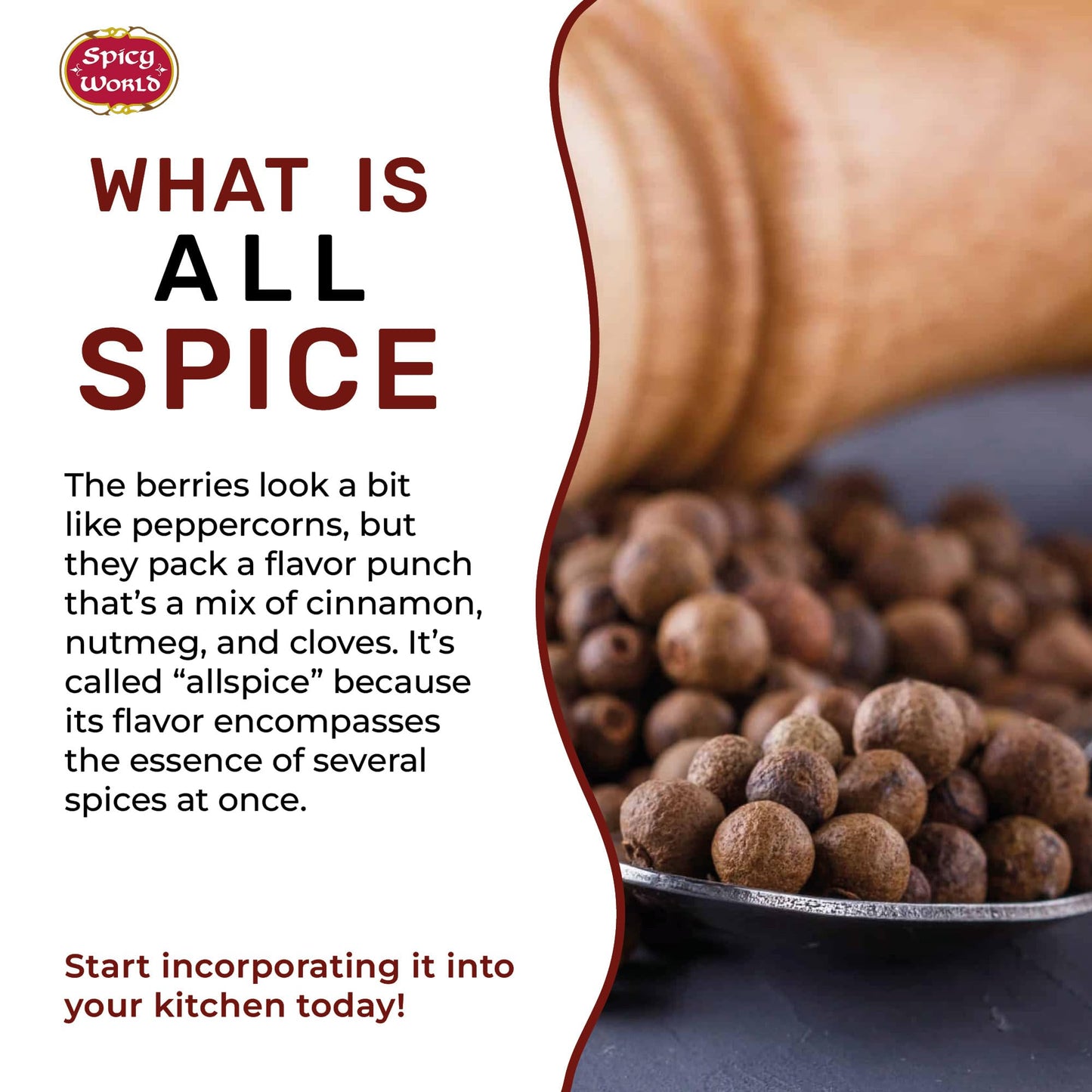 Allspice Whole Berries 5 Ounce Bag - by Spicy World (All Spice) | All Spice Pimento Jamaica Pepper for Cooking & Seasoning | Ver