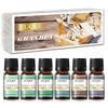 Euqee Fragrance Oils Gift Set Premium Woody Scented Oil - Forest Pine, Warm Rustic Woods, Bamboo & Teak, Cedarwood, Leather, Swe
