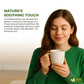 FreshDrinkUS  enhanced 30 Tea Bags Glucose Functional Tea - Herbal Blend with Gymnema  Cinnamon  Bitter Melon  Tulsi & More -- Caffeine-Free. Sugar-Free. Gluten-Free. Vegan