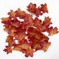 Set Of 75 Edible Fall Leaves Gold Leaf Cake Decorations, Thanksgiving Day Christmas Party Cupcake Topper (Red)