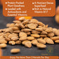 Cure wid Pure Certified Organic Apricot Seeds 1lb -Freshly Packed Gluten Free Raw Non-GMO Organic Bitter Apricot Kernels - Rich in  - Eco-Friendly Resealable Pack Max 3 Kernels Per Day