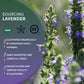 Worldwide Botanicals Organic Lavender Flowers, 1 Lb, Pure European Lavender Buds, Perfect For Aromatherapy, Sachets, Wedding Cel