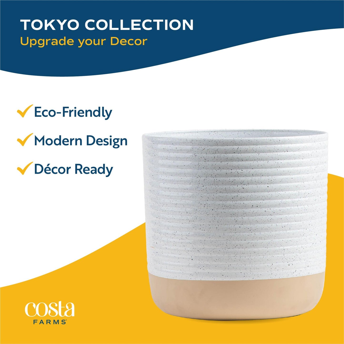 Costa Farms Bamboo Palm Live Plant in Decorative Pot, Air Purifying Large Indoor Houseplant, Perfect for Home, Room, or Office D