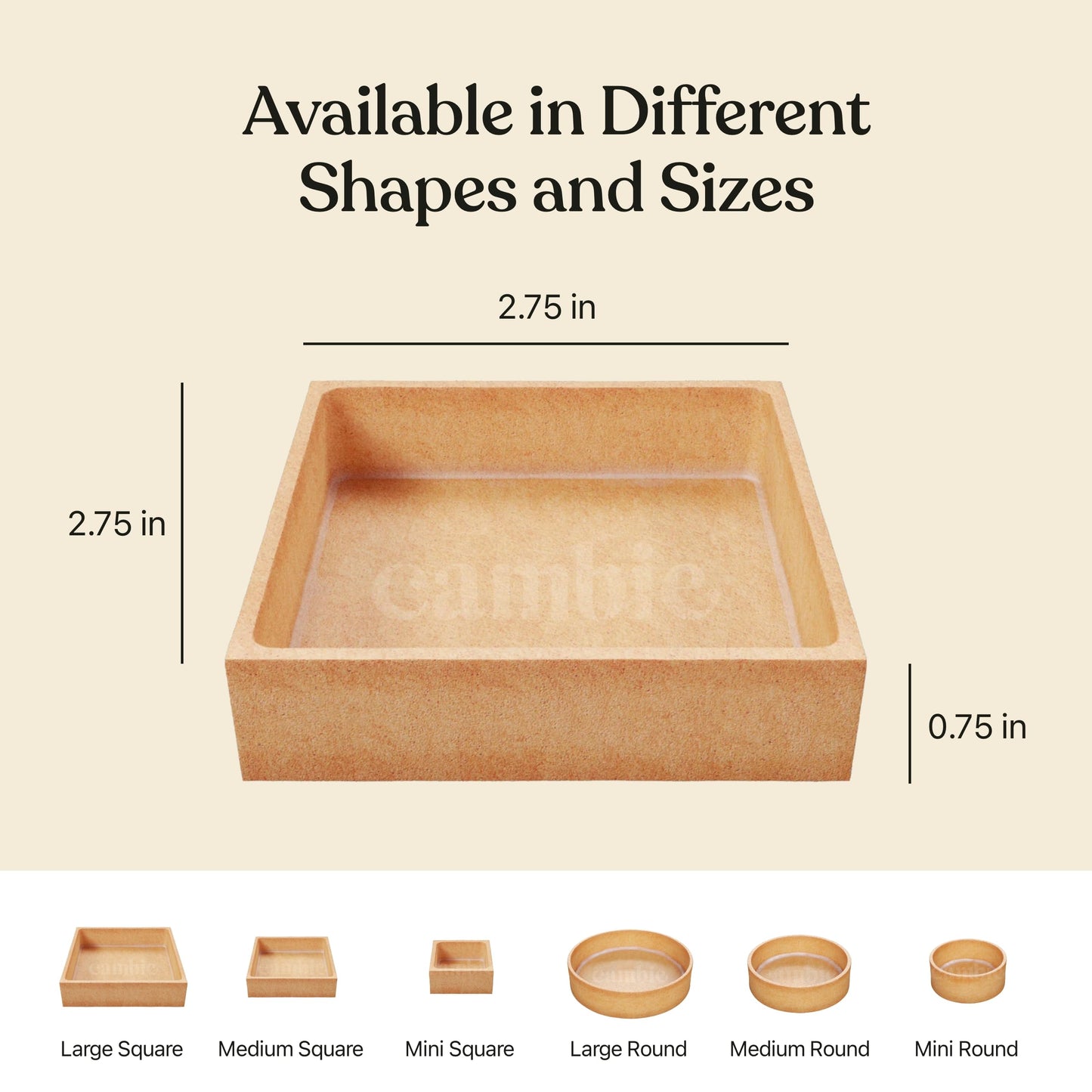 Cambie Large Square Vanilla Tart Shells, 71Mm (2.8'') Diameter, French Style Tart Shells, White Chocolate Coating, Pack Of 24
