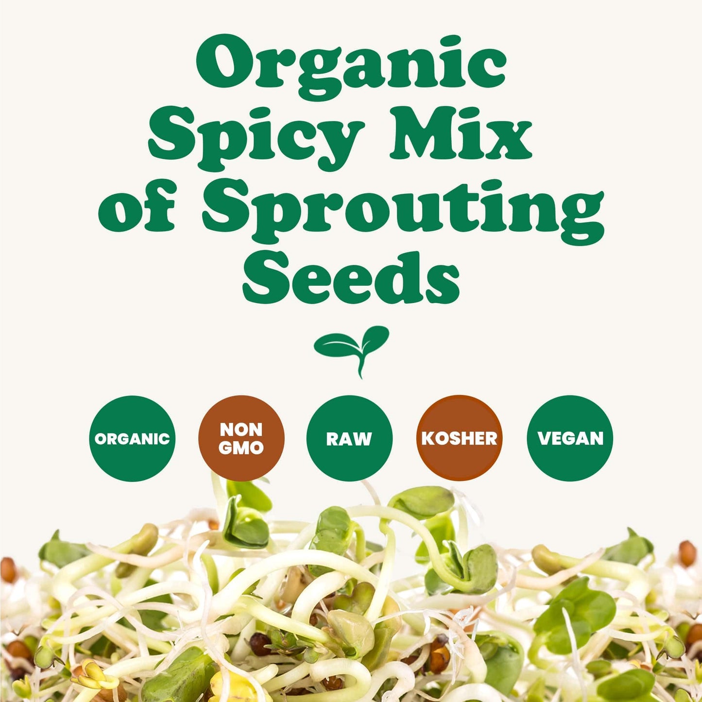 Food To Live Organic Spicy Mix Of Sprouting Seeds, 3 Pounds - Non-Gmo Broccoli, Radish, Alfalfa, Raw, Rich Germination Rate, Non