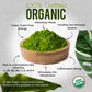 Sunlife Organics Matcha Tin - 100% Certified Organic Matcha Powder | Authentic Ceremonial Grade Japanese Green Tea (80G Tin)