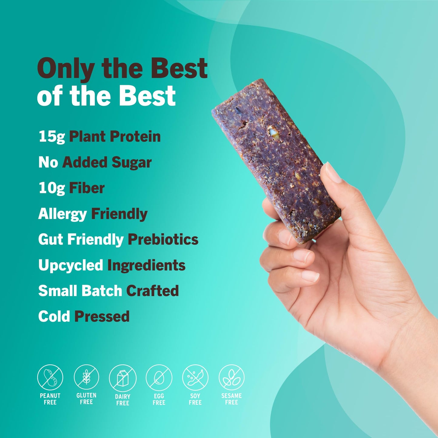 AMRITA Vegan Protein Bars Variety Pack (6 Flavors) | Peanut/Dairy Free, Soy & Gluten Free | 15g Plant Based Protein Bars | High