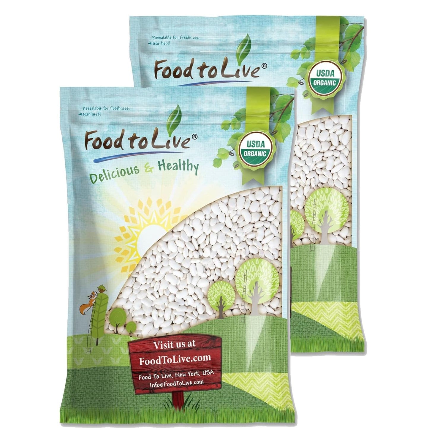 Food to Live Organic Great Northern Beans, 25 Pounds - Dried, Non-GMO, Kosher, Raw, Sproutable, Bulk Seeds, Product of the USA