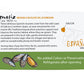 Matiz España Mussels in Extra Virgin Olive Oil & Apple Cider Vinegar, 4 oz. (Pack of 12), Handcrafted in Galicia, Spain