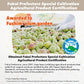 Fushimi Plum Garden: Umeboshi White dried plums, 200g, citric acid, 20% salt, natural flavor, Benei Fukui, Sour (3 Packs)