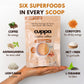 Cuppa Salted Caramel Healthy Mushroom Insant Coffee with Lions Mane & Ashwagandha for All Day Energy & Focus - No Crash or Jitters - Nootropics for Brain Health  Gut Health  Immunity  Stress  Memory + Mood - 60 Servings