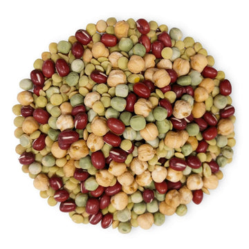 Crunchy Mix Of Sprouting Bean Seeds, 20 Pounds - Green Peas, Adzuki, Lentils, Garbanzo, Kosher, Raw