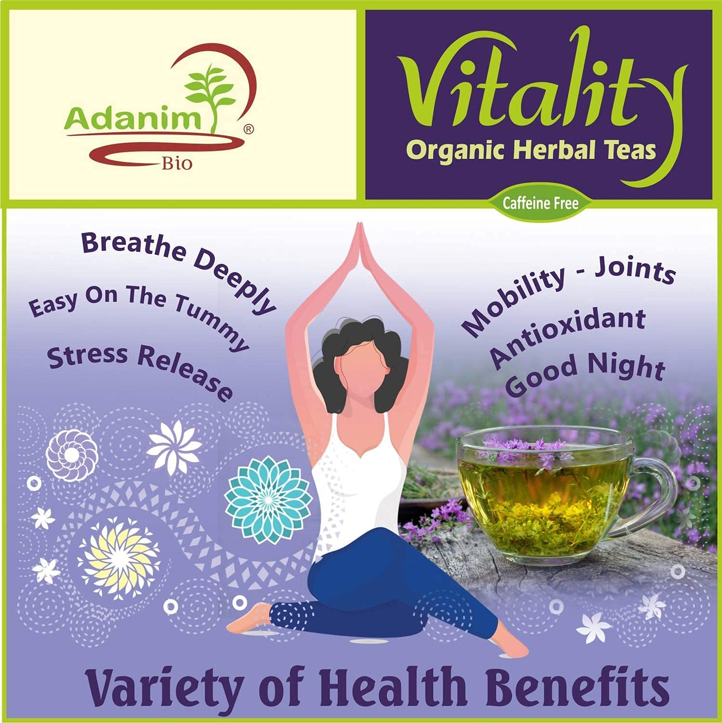 ADANIM BIO Organic Tea Sampler Gift Set - 8 Herbal Flavors, Caffeine Free, 64 Individual Tea Bags, Assorted Tea Set