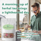 12 Tea Bags Chicory & Gardenia Herbal Tea - Gardenia  Chicory  Honeysuckle  Licorice  Tangerine Peel  Natural Sugar Free Blend  Vegan & Caffeine Free (1pc)