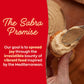 Sabra Pine Nut Hummus, Great Hummus for Dipping, Snacking and Sharing, 10 Oz Tub