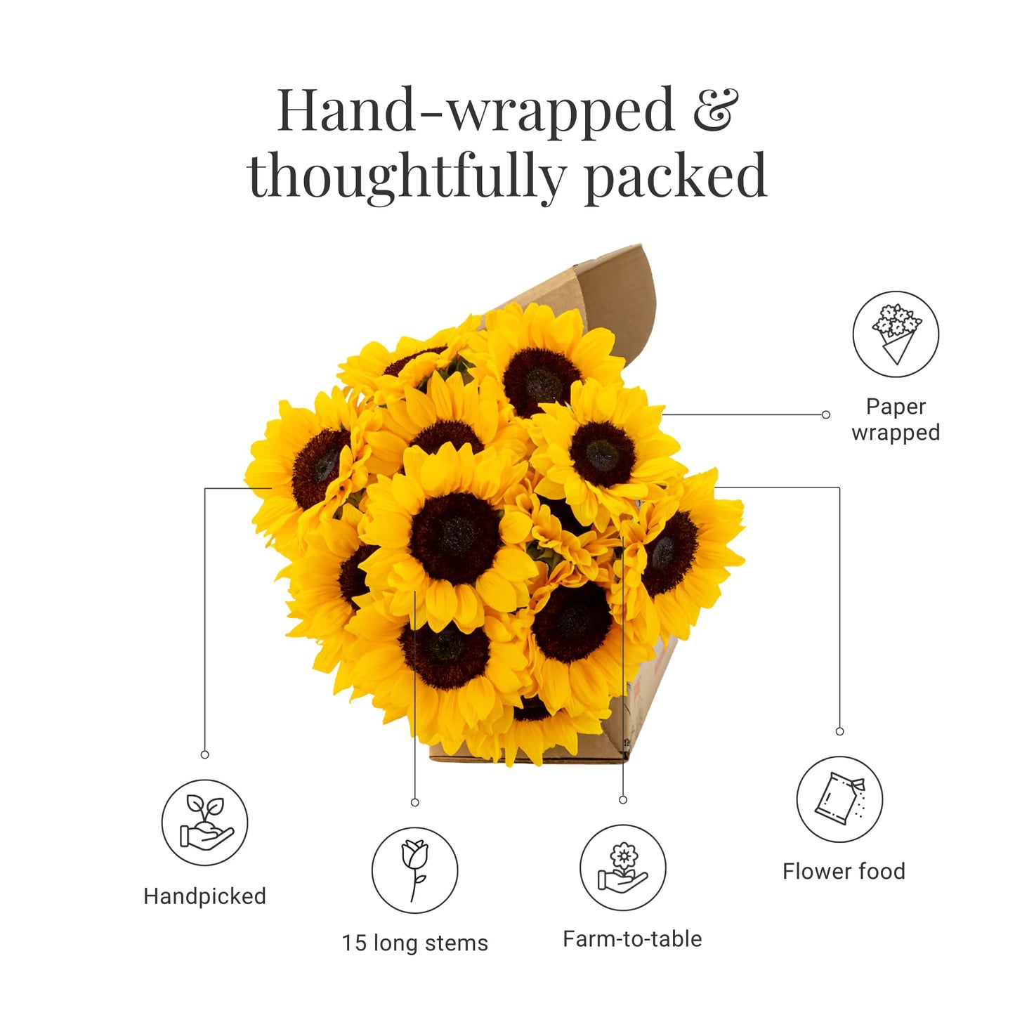 Bloomsybox : Farm-Fresh Sunflowers-Best | 15 Stems, Yellow Design, Care Card, Flower Food, Lush Greenery, Flower Delivery, Birth