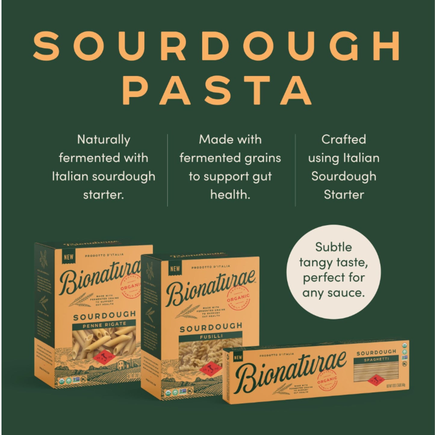 Bionaturae Organic Sourdough Penne Pasta - Dried Pasta Noodles - 12 Ounce - Model 0799210620015