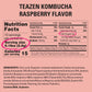 Teazen Raspberry Kombucha Tea, Hydration Drink Mix, Sugar Free, Live Probiotics & Prebiotics, 10 Sticks, 1.76Oz