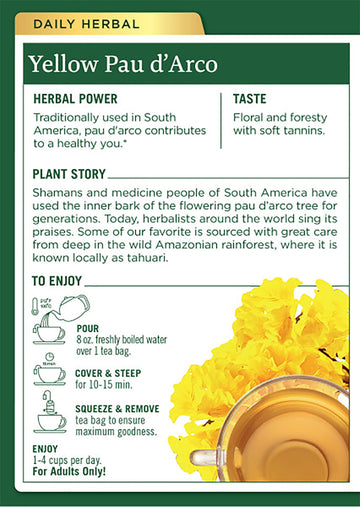 Traditional Medicinals Yellow Pau dArco Herbal Tea, Contributes to a Healthy You, (Pack of 1) - 16 Tea Bags